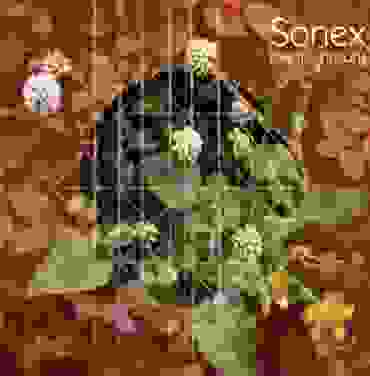 Sonex, una producción con alma, que hace regresar a las raíces mexicanas