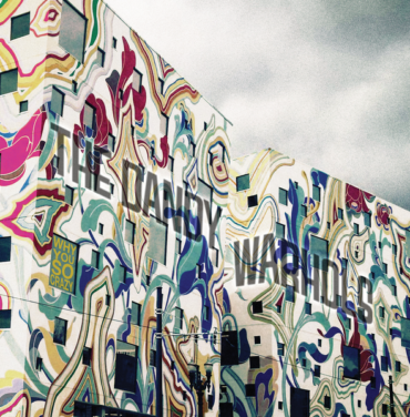 The Dandy Warhols — Why You So Crazy