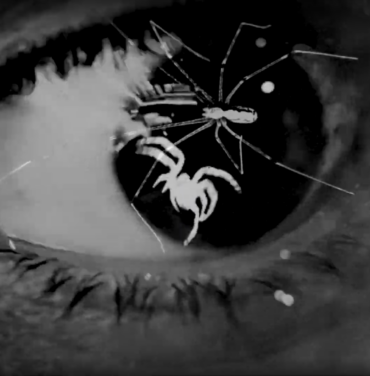 The Soft Moon lanza video de “Tiny Spiders”