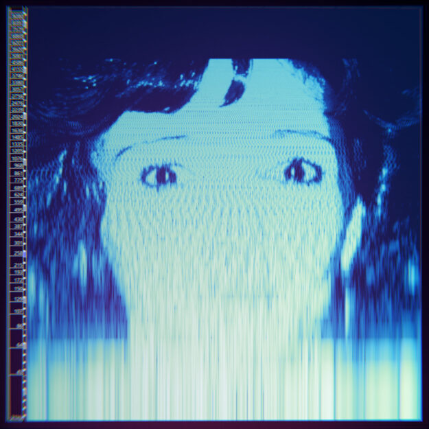 The Avalanches — We Will Always Love You