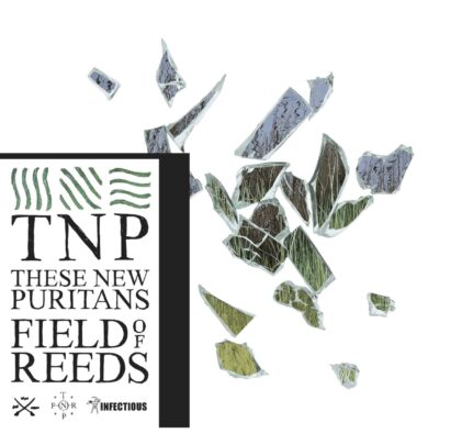 These New Puritans y la orquestación de lo inhóspito