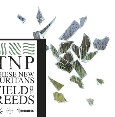 These New Puritans estrenan sencillo