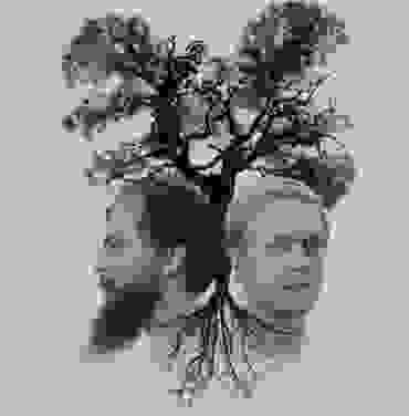 Tree Machines: indie rock para los desorientados