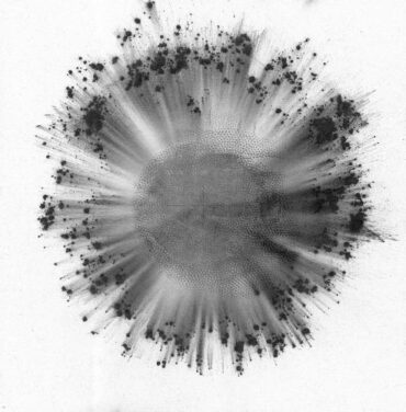 Trentemøller — Obverse