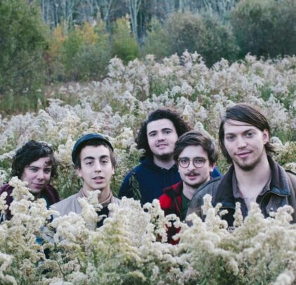 Twin Peaks estrena canción