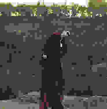 Unknown Mortal Orchestra anuncia EP con “BOYS WITH THE CHARACTERISTICS OF WOLVES”