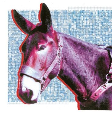 Protomartyr — Ultimate Success Today