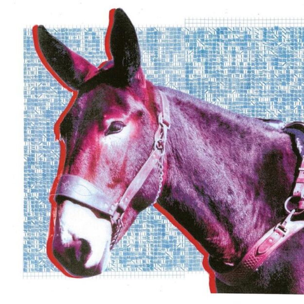 Protomartyr — Ultimate Success Today