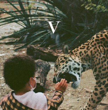 Unknown Mortal Orchestra — V