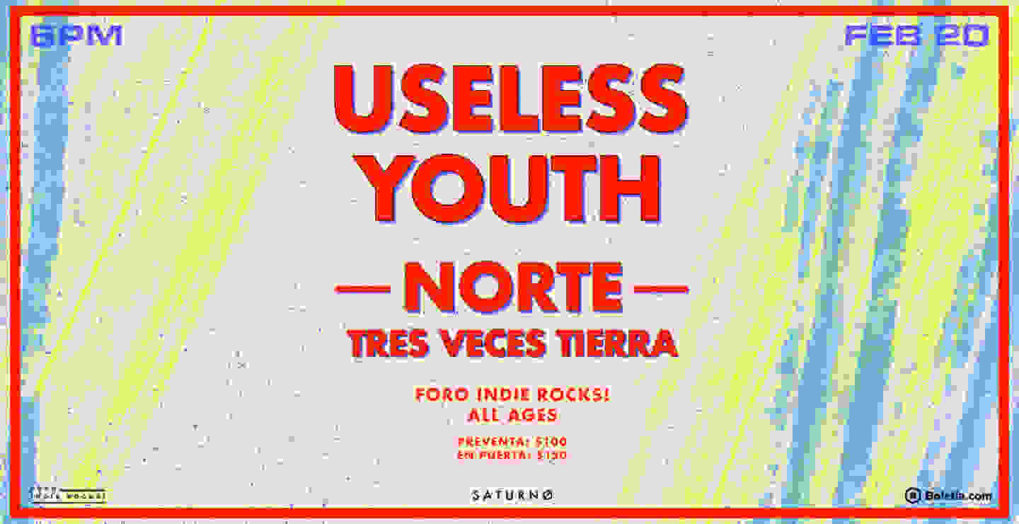 Useless Youth ofrecerá show en el Foro Indie Rocks!