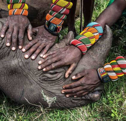 Llega el World Press Photo al Museo Franz Mayer