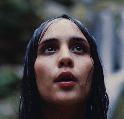 Young Magic – Still Life