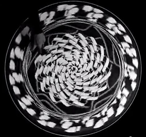 Allah-Las estrena cover a The Frantics