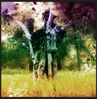 #LRReseña: Animal Collective — Meeting of the Waters  EP