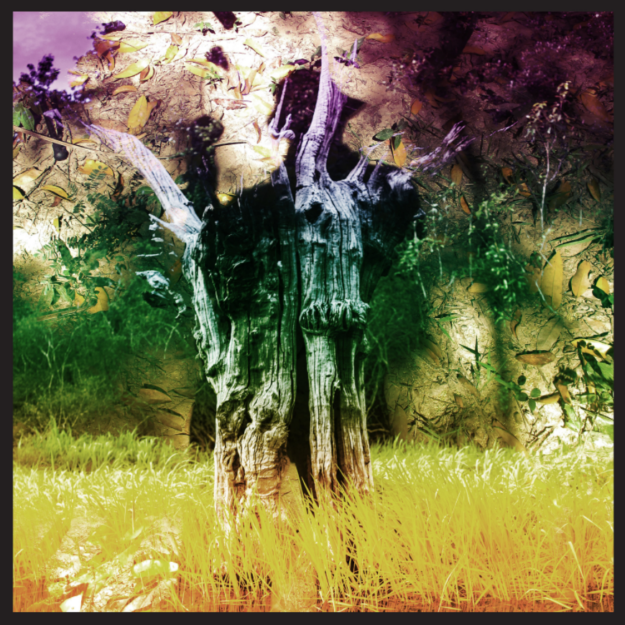 #LRReseña: Animal Collective — Meeting of the Waters  EP