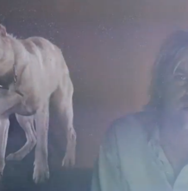 Ariel Pink y Jorge Elbrecht estrenan video