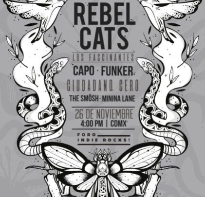 Armonía Itinerante en el Foro Indie Rocks!