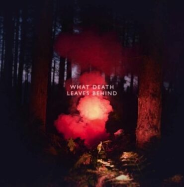 Los Campesinos! estrenan sencillo