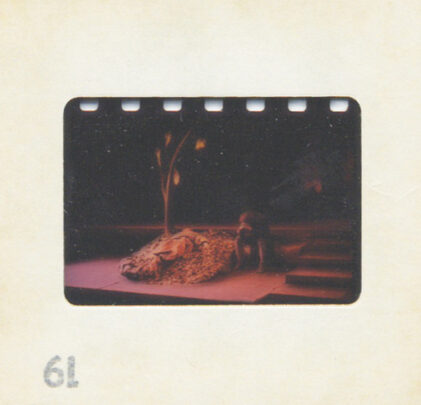 Tom McClung estrena tema