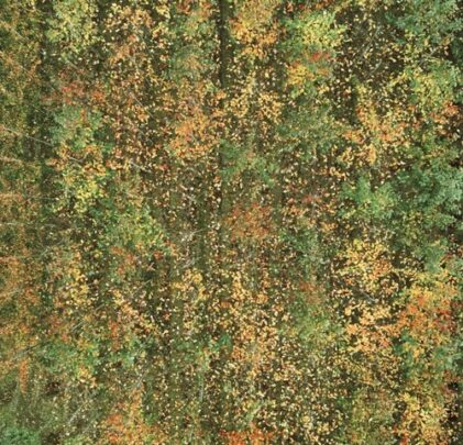 John Talabot te regala una canción