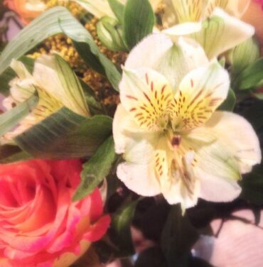 Sergio Vega comparte cover a Selena