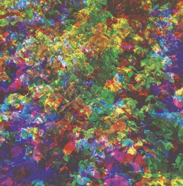 ¡Nueva canción de Caribou!