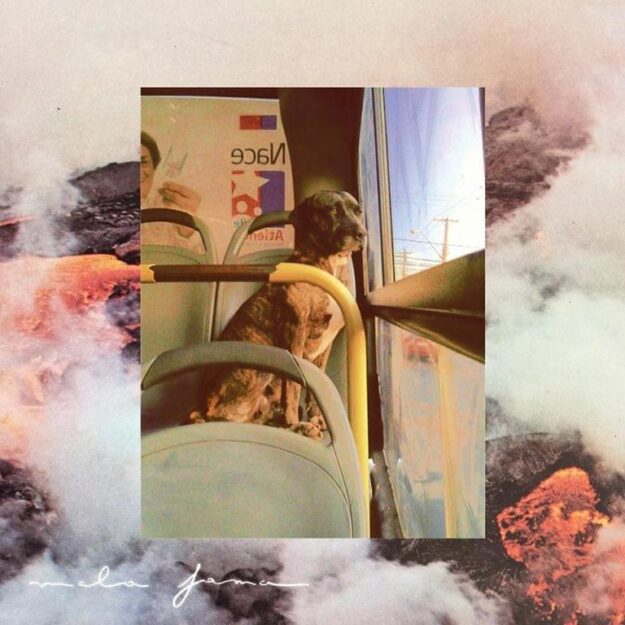 Ases Falsos — Mala fama