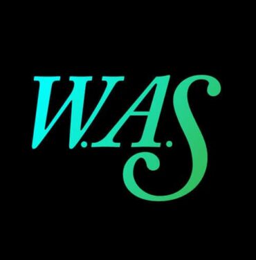 We Are Scientists estrena canción