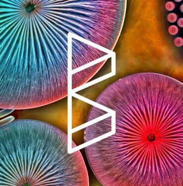 PLAYLIST: Carnaval de Bahidorá 2017 #LlamadoBahidorá