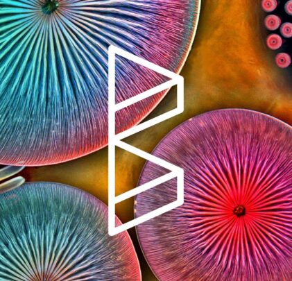 Carnaval de Bahidorá 2017