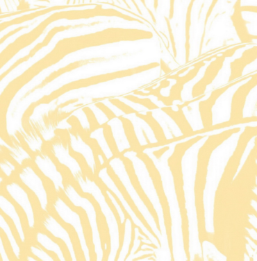 A 10 Años del 'Teen Dream' de Beach House