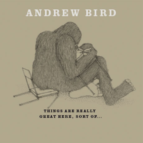 Nuevo disco de Andrew Bird en puerta