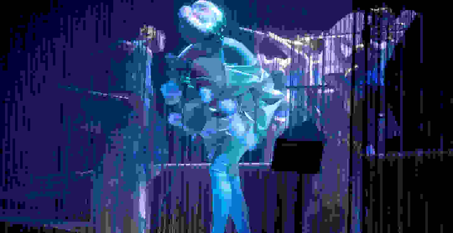 Revive Cornucopia de Björk con esta galería