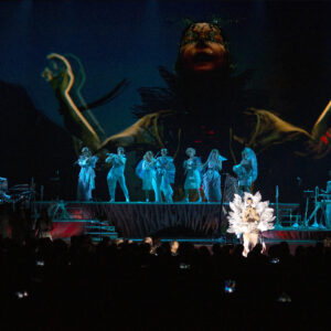 Revive Cornucopia de Björk con esta galería