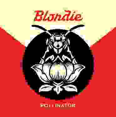 Blondie — Pollinator