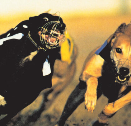 A 30 años de 'Parklife' de Blur