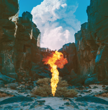Bonobo – Migration