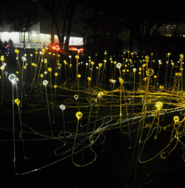 Inicia actividades el Festival Simbionte 2014