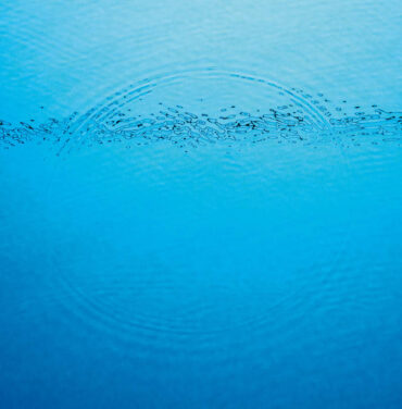 Caribou — Suddenly