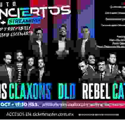 DLD, Los Claxons y Rebel Cats en concierto