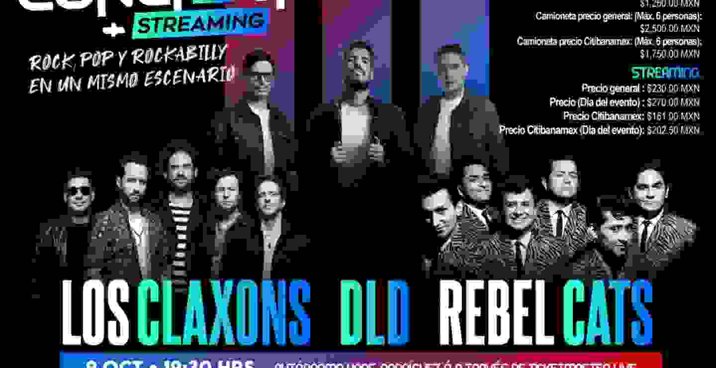 DLD, Los Claxons y Rebel Cats en concierto