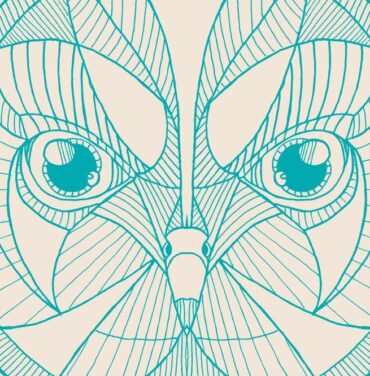 Strange Bird, Historias de electro pop azucarado