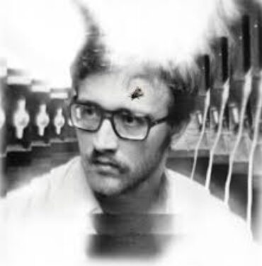 Damaged Bug — Bug On Yonkers