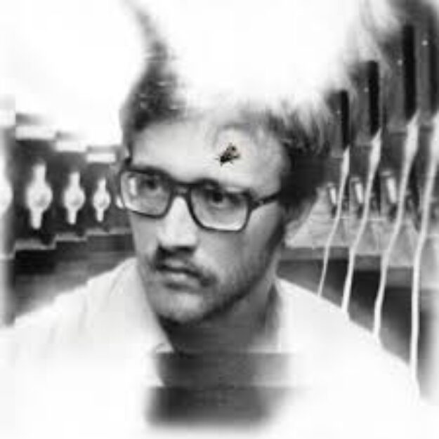 Damaged Bug — Bug On Yonkers