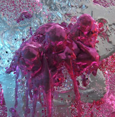 Egyptrixx – Pure, Beyond Reproach