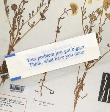 Elliot Moss — A Change in Diet