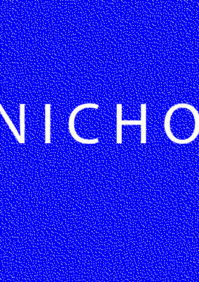 elnicho#6: una nueva edición
