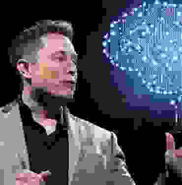 Músicos y celebridades VS Elon Musk