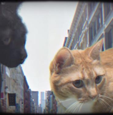 Run The Jewels estrena video