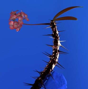 #LRReseña: Flume – Skin Companion EP II